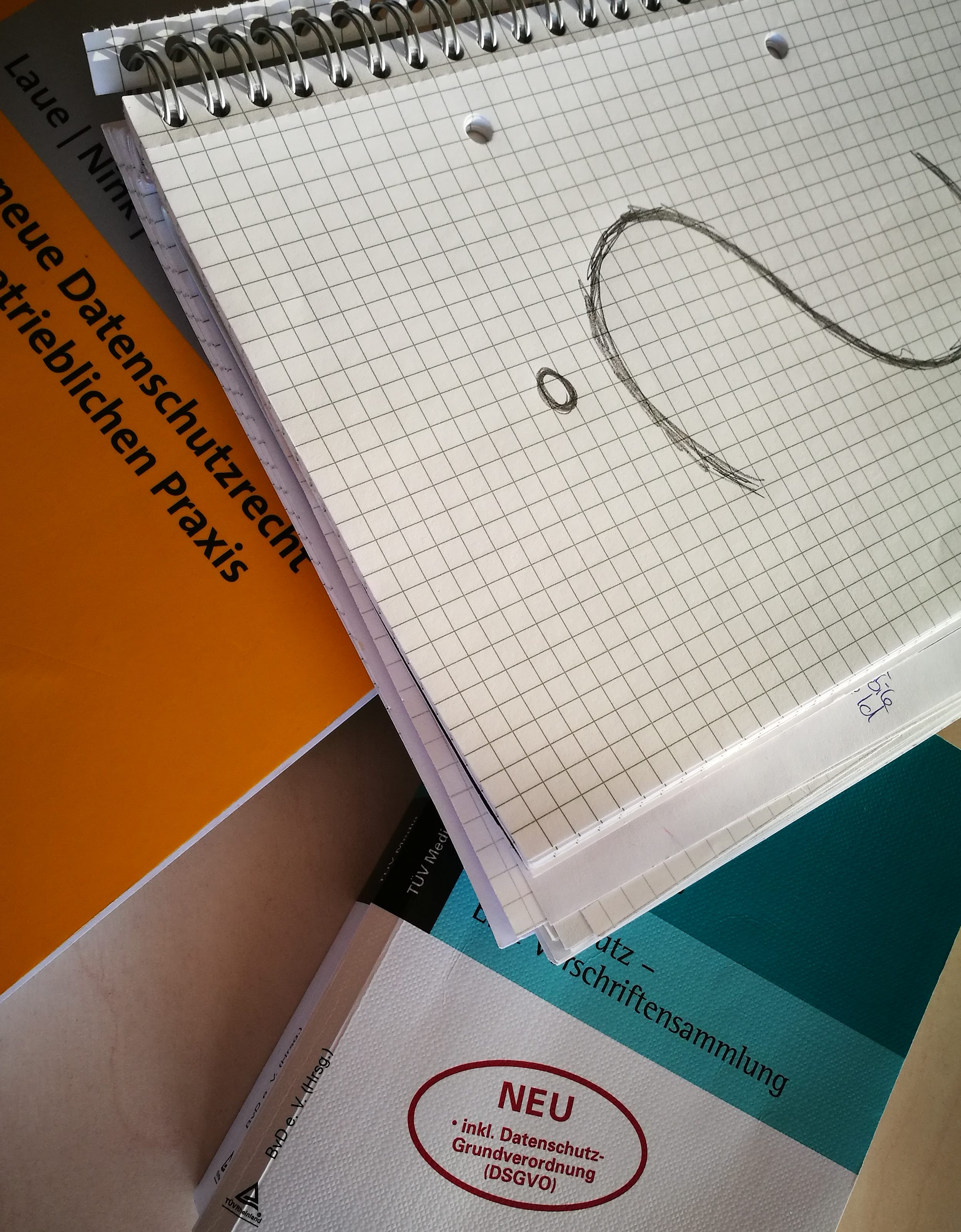 LOGIN Partners: Mitarbeiterbefragungen und datenschutzrechtliche Grenzen